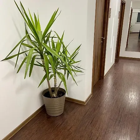 Apartament Pink House