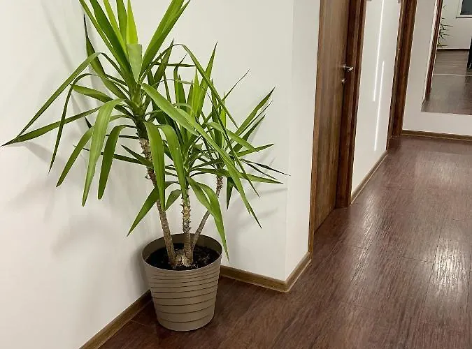 Apartament Pink House